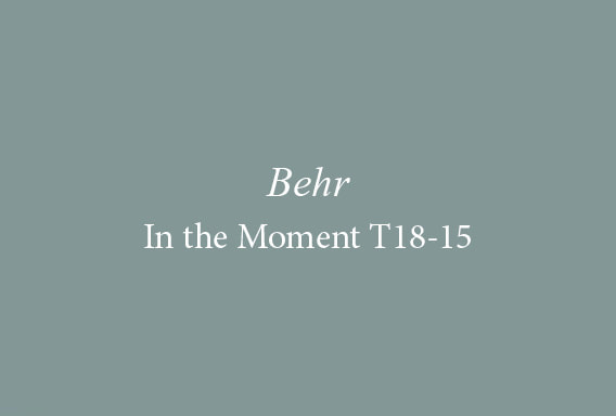 Behr – In the Moment T18-15